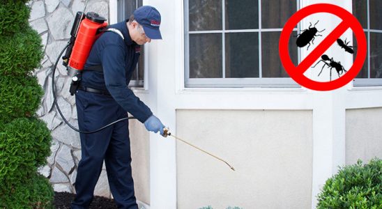 Kıbrıscık Dezenfeksiyon böcek ilaçlama ve haşere kontrolü — ilaclama-tr.com